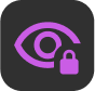 Lock icon